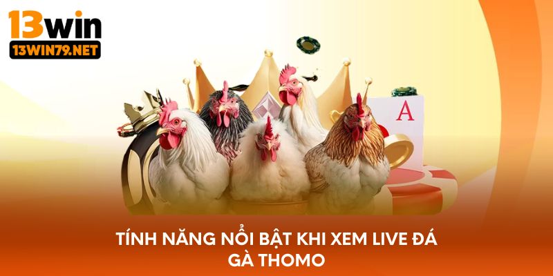Tính năng nổi bật khi xem live đá gà Thomo